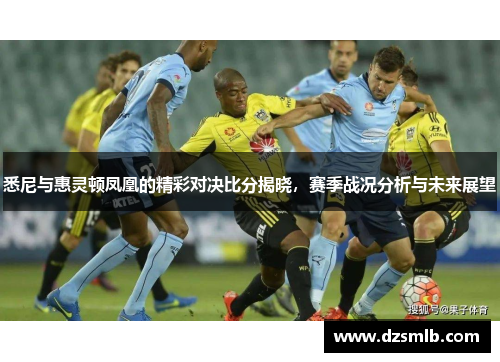 悉尼与惠灵顿凤凰的精彩对决比分揭晓，赛季战况分析与未来展望