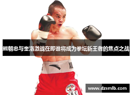 熊朝忠与奎洛激战在即谁将成为拳坛新王者的焦点之战