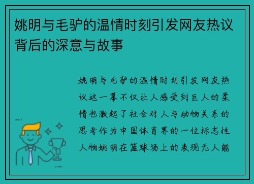 姚明与毛驴的温情时刻引发网友热议背后的深意与故事